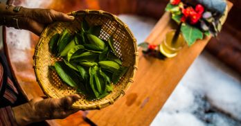 Experience the Healing Power of Red Dao Herbal Baths in Sapa